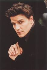 Liam Angel